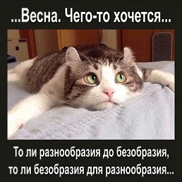 ���� ������, ����, 53 ���� - ��������� 17 ������ 2018