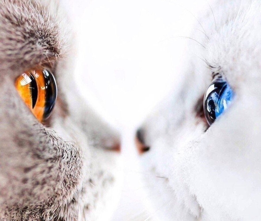   ˸.