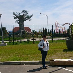 �����, ����