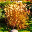  U-jin, , 53  -  24  2018    -