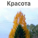  ,  -  4  2018