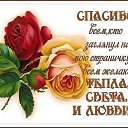 ���� ������, �����, 61 ��� - ��������� 7 ����� 2019 � ������ ���� ����������