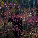 ���� �������, ������ - ��������� 27 ������� 2018 � ������ ���� ����������