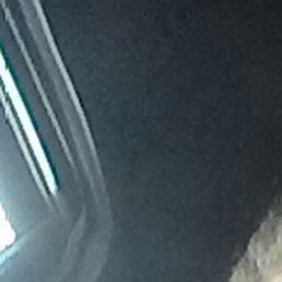 ����������, ��������