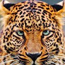 ���� ������, ������ - ��������� 13 �������� 2018