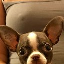 ���� Henry, ������, 62 ���� - ��������� 12 ������ 2019 � ������ ���� ����������