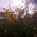 ���� ����, ���� - ��������� 30 �������� 2018 � ������ ������ ��������