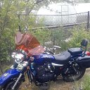 ���� �����, ���������, 64 ���� - ��������� 19 ����� 2019 � ������ ���� ����������