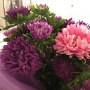 ���� �������, ����� - ��������� 15 ������ 2018 � ������ ���� ����������