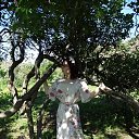 ���� Maya, ���� - ��������� 15 ������� 2018