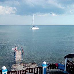 ���� �������, ���������� - ��������� 22 ����� 2019