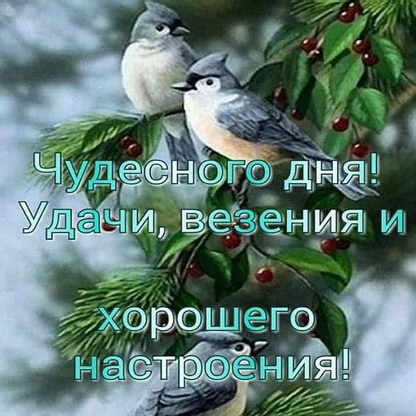 - 26  2019  11:12