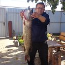 ���� �����, ������ - ��������� 23 ������ 2019 � ������ ���� ����������