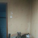 ����� � ���� �� ������� ���������� ������