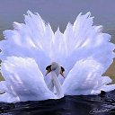 ���� Anzhelika, ������ - ��������� 14 ���� 2018 � ������ ���� ����������