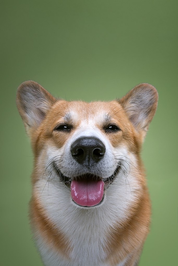 , -