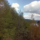  Dainius, , 51  -  22  2018    