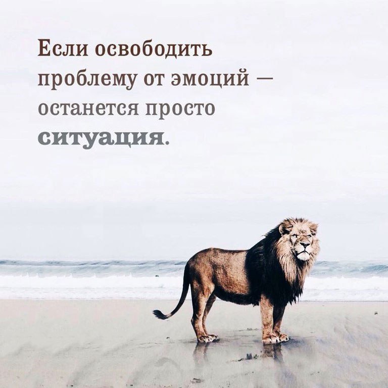 BEST | , ,  - 15  2018  16:43