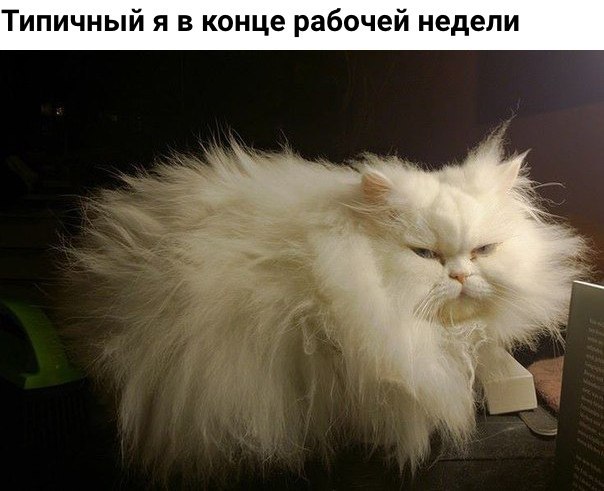    - 24  2019  17:05