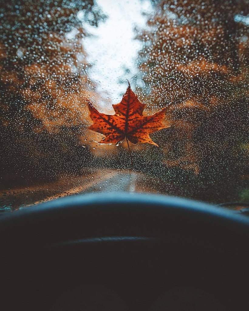 , .    . - 3