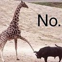 ���� Dave, ���������, 33 ���� - ��������� 16 ������� 2019 � ������ ���� ����������