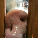 ���� ������, ���������, 36 ��� - ��������� 5 ������� 2019