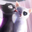 ���� �����, ���������� - ��������� 13 ������� 2019