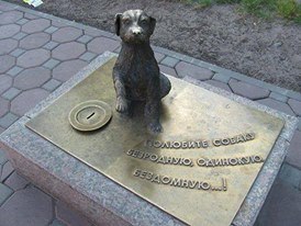 Недавно встретила вот такую запись и задумалась... Не надо ее подманивать. И протягивать пустую ...