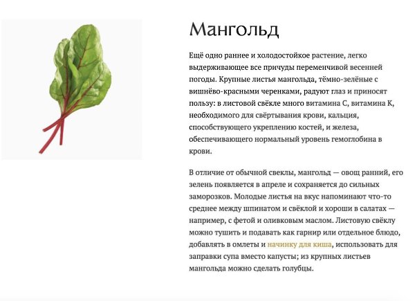 Что есть весной: 9 полезных сезонных продуктов #советы@ican - 4