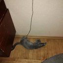 ���� ��������, ������, 39 ��� - ��������� 31 ������� 2018