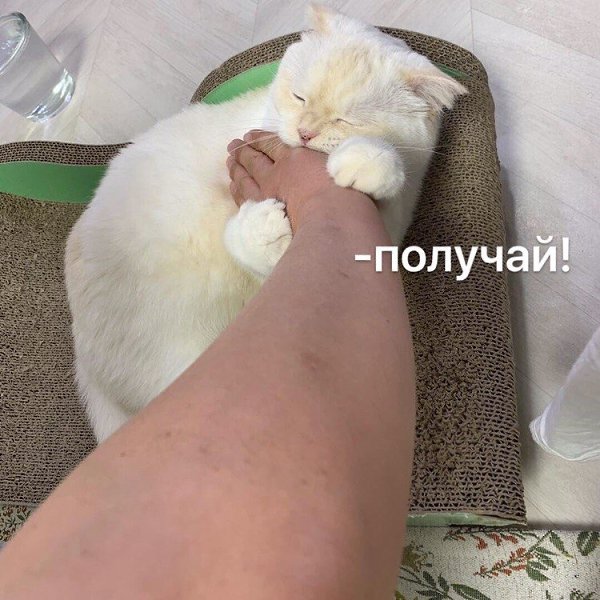 :  - 3