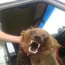 ���� Anatoliy, ���, 65 ��� - ��������� 14 ���� 2018 � ������ ���� ����������