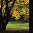 ���� ���������, �������, 66 ��� - ��������� 19 ������� 2018 � ������ ������ ��������