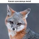 ���� �������, ����������� - ��������� 14 ������� 2018