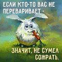 ���� �������, ������, 53 ���� - ��������� 22 ������� 2019