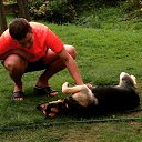 ���� �������, ������, 34 ���� - ��������� 23 ������� 2019