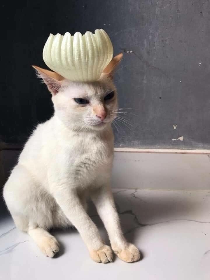     - 6