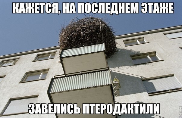  - 15  2019  16:44