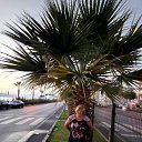 ���� �������, ����������� - ��������� 4 ������� 2018 � ������ ���������� ������