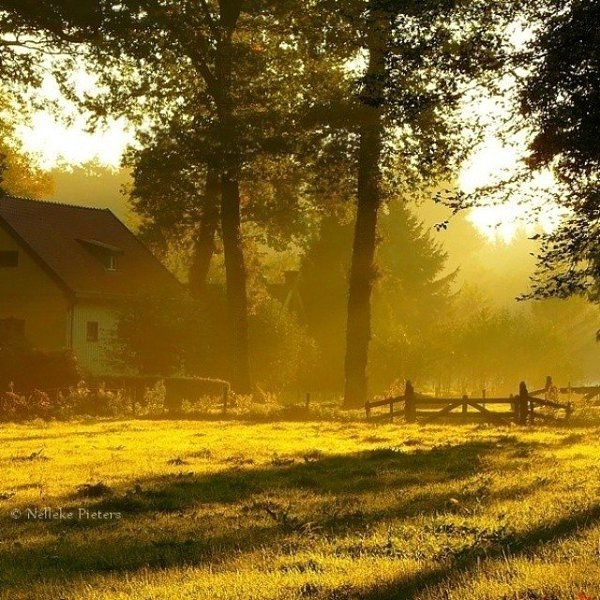 Тишина - единственный простор, где дух расправляет крылья.