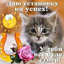 ���� �������, ������������, 73 ���� - ��������� 15 ����� 2019 � ������ ���� ����������