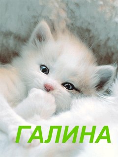 ������ *** - 13 ���� 2018 � 18:23
