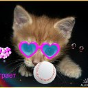 ���� ���������, ������������ - ��������� 19 ������ 2018 � ������ ������ ��������