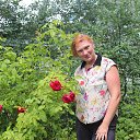 ���� Natali, ������ �������� - ��������� 29 ���� 2018 � ������ ���� ����������