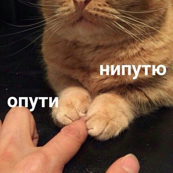 ,        ,   