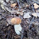 ���� �������, ������������ - ��������� 28 ������ 2018 � ������ �������