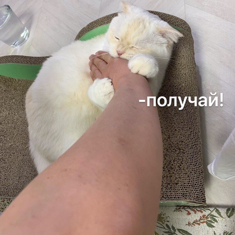 :  - 3
