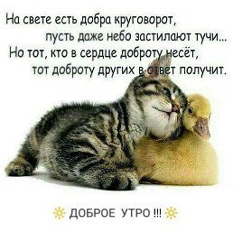 _Katarina_, ��������, 43 ����