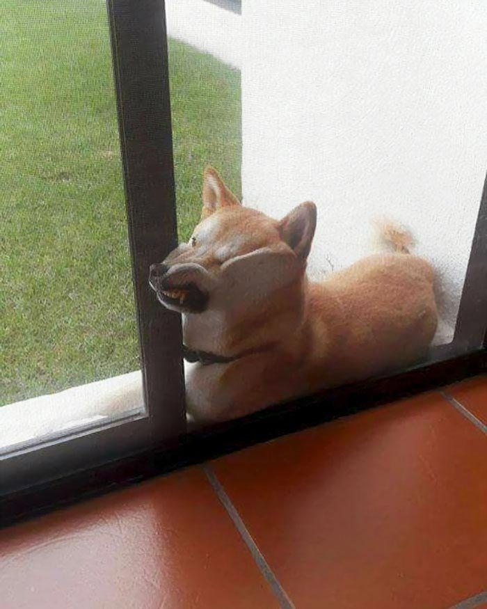 , 