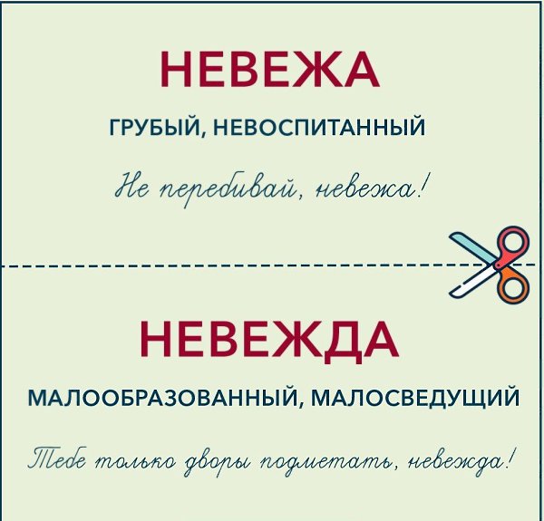   ) - 6
